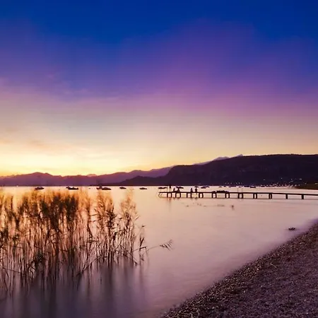 キャンプ場 Continental